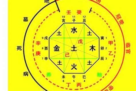 十天干喜忌|八字命理入门基础知识:十天干喜忌详解（建议收藏）